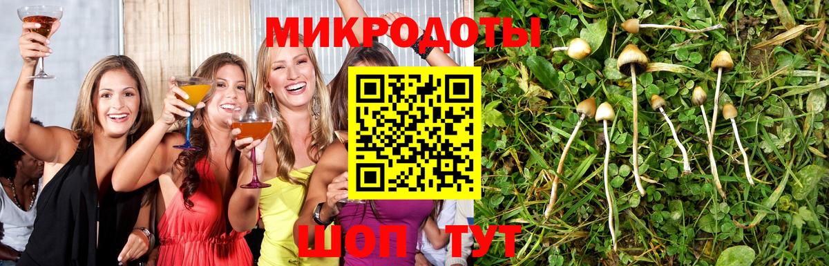 Галлюциногенные грибы Cubensis  Псилоцибиновые грибы мухоморы  Вход с VPN  Сунжа 